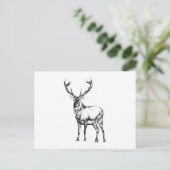 Carte Postale Antique start dessin artisanal nature (Debout devant)