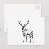 Carte Postale Antique start dessin artisanal nature (Devant / Derrière)