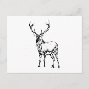 Carte Postale Antique start dessin artisanal nature