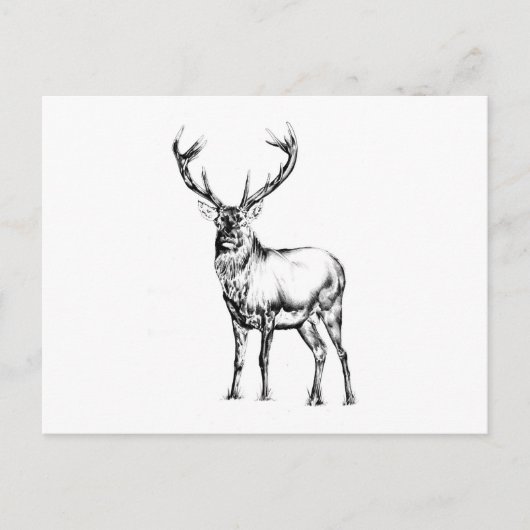 Carte Postale Antique start dessin artisanal nature (Devant)