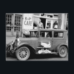 Carte Postale Antique voiture, années 1930<br><div class="desc">Vieille photo d'oies en stylo sur le côté de voiture antique,  carré du marché devant le K & P Cafe et barbershop,  Waco,  Texas. Photo de l'ASL en 1939 par Russell Lee.</div>