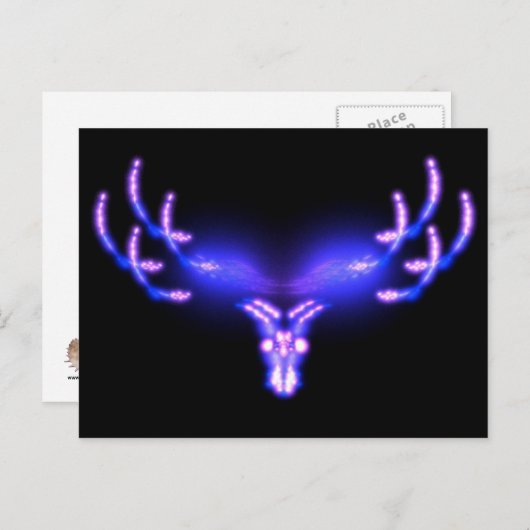 Carte Postale Antlers électriques (Devant / Derrière)