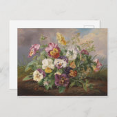 Carte Postale Anton Mollis Vintage Pansy (Devant / Derrière)