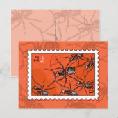 Carte Postale Ants (homonymie) (Devant / Derrière)
