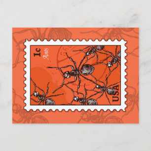 Carte Postale Ants (homonymie)