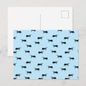 Carte Postale Ants (homonymie) (Devant / Derrière)
