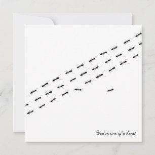 Carte postale Ants indépendante