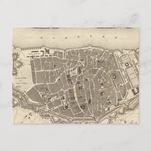 Carte Postale Anvers, Belgique (Devant)