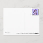 Carte Postale Aotearoa lunatique (Dos)