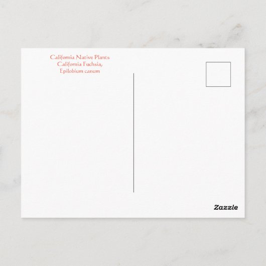 Carte Postale Août (Dos)