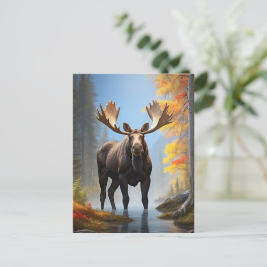Carte Postale *~* AP49 Forêt naturelle en flux MOOSE (Debout devant)