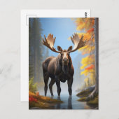 Carte Postale *~* AP49 Forêt naturelle en flux MOOSE (Devant / Derrière)