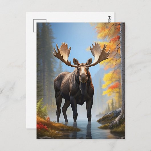 Carte Postale *~* AP49 Forêt naturelle en flux MOOSE (Devant / Derrière)