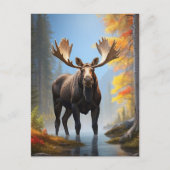Carte Postale *~* AP49 Forêt naturelle en flux MOOSE (Devant)