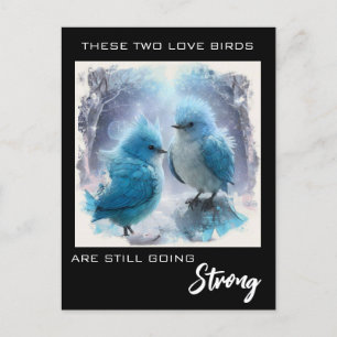 Carte Postale *~* AP54 PHOTO Anniversaire des Inséparables Fluff