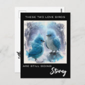 Carte Postale *~* AP54 PHOTO Anniversaire des Inséparables Fluff (Devant / Derrière)