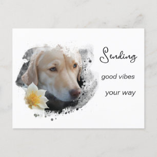 Carte Postale *~* AP61 Labo Good Vibes Retriever Fleur
