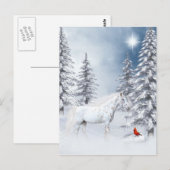 Carte Postale Apaloosa d'hiver (Devant / Derrière)
