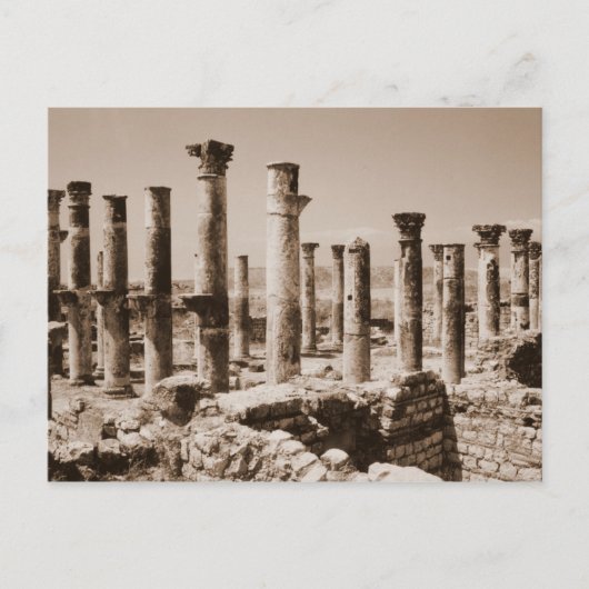 Carte Postale Apamea (Devant)