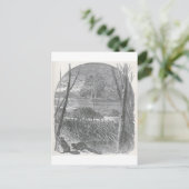 Carte Postale Aperçus du monde animé - barrage de castor (Debout devant)