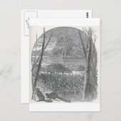 Carte Postale Aperçus du monde animé - barrage de castor (Devant / Derrière)