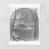 Carte Postale Aperçus du monde animé - barrage de castor (Devant)