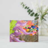 Carte Postale Apex (Debout devant)