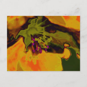 Carte Postale Apfelblüte