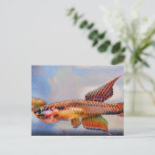 Carte Postale aphyosemion bitaeniatum ijebu ode Killifish (Debout devant)