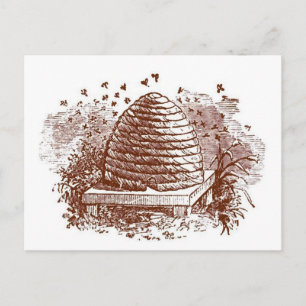 Carte Postale Apiculture vintage