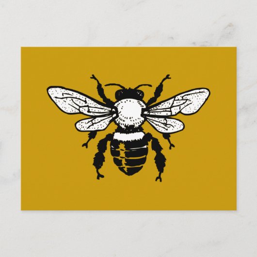 Carte Postale Apis Mellifera Honeybee Postcard (Devant)