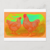 Carte Postale Apocalypse (Devant)