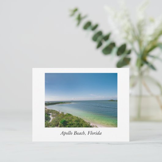 Carte Postale Apollo Beach Floride (Debout devant)