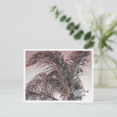 CARTE POSTALE APOPKA FLORIDA (Debout devant)