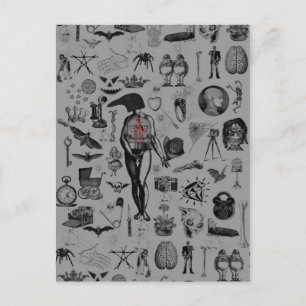 Carte Postale Apothécaire