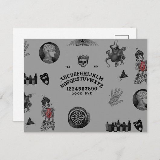 Carte Postale Apothécaire (Devant / Derrière)