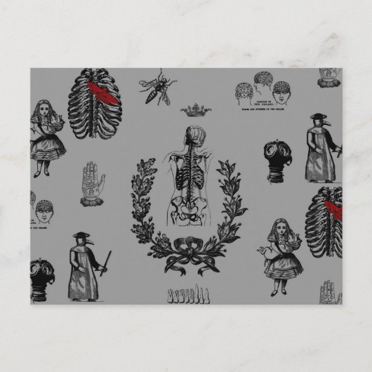 Carte Postale Apothécaire (Devant)