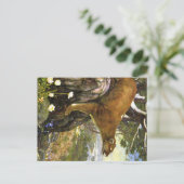 Carte Postale Appalachian Animals (Debout devant)