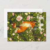 Carte Postale Appalachian Animals  (Devant / Derrière)