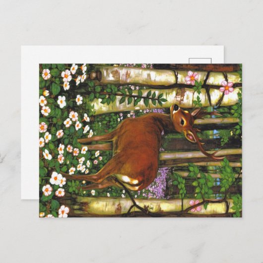 Carte Postale Appalachian Animals (Devant / Derrière)