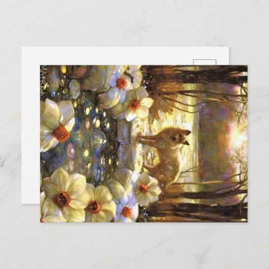 Carte Postale Appalachian Animals (Devant / Derrière)