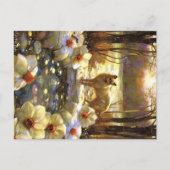 Carte Postale Appalachian Animals (Devant)