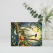 Carte Postale Appalachian Animals (Debout devant)