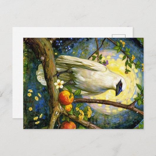 Carte Postale Appalachian Animals (Devant / Derrière)