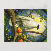 Carte Postale Appalachian Animals (Devant)