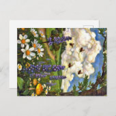 Carte Postale Appalachian Animals  (Devant / Derrière)