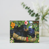 Carte Postale Appalachian Animals  (Debout devant)