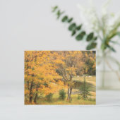 Carte Postale Appalachian Gap Pond Vermont (Debout devant)