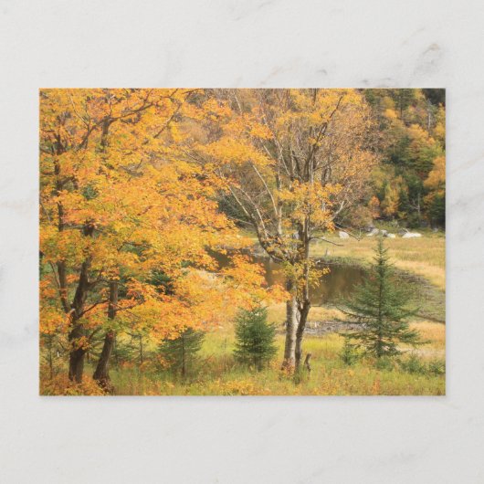 Carte Postale Appalachian Gap Pond Vermont (Devant)