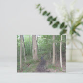 Carte Postale appalachian trail pennsylvania south mountain (Debout devant)